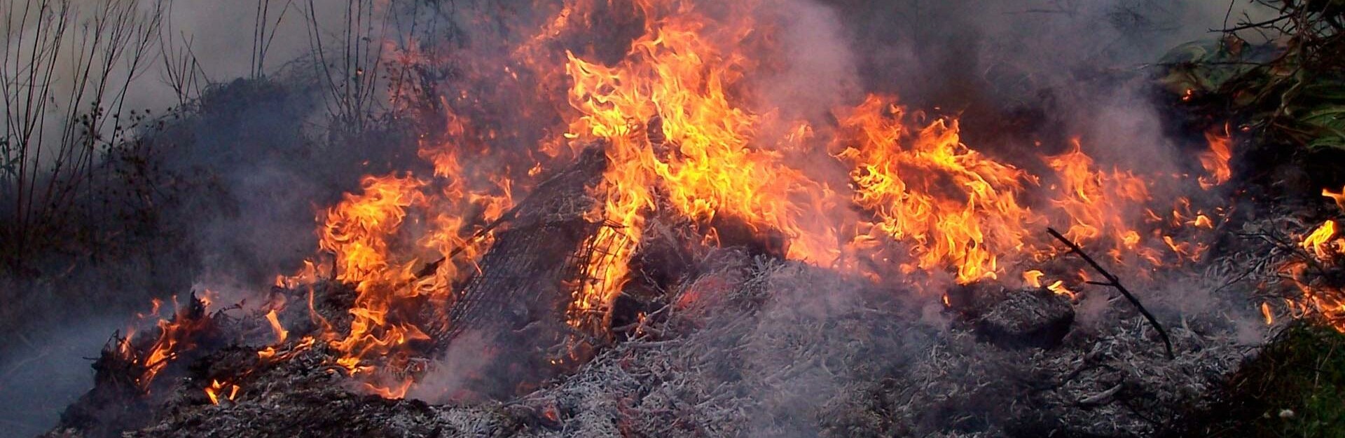На севере Камчатки горит свыше 400 га тундры